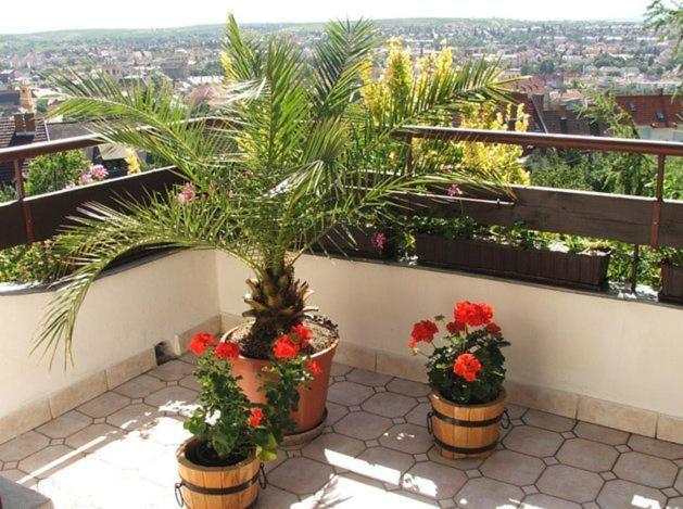 Ferienhaus Apartmanhaz Zalanki Эгер Экстерьер фото